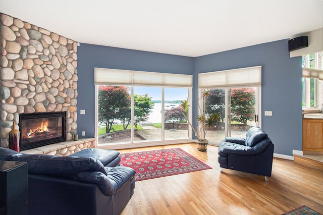 living room with a fireplace, wood-type flooring, and plenty of natural light