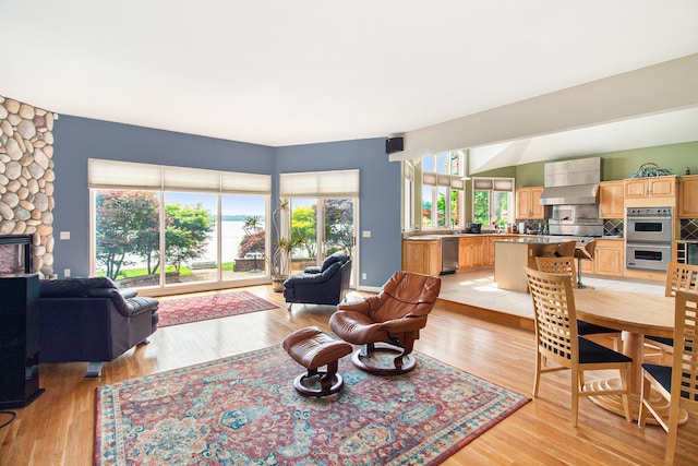 living room featuring a fireplace, light hardwood / wood-style flooring, and a healthy amount of sunlight