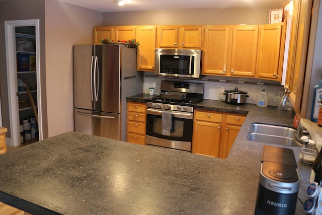 kitchen featuring sink, decorative backsplash, and stainless steel appliances