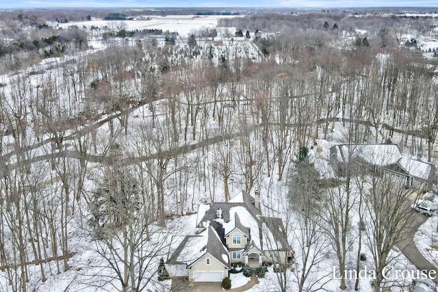 view of snowy aerial view