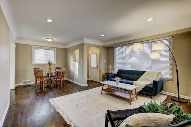 living room featuring dark wood-type flooring