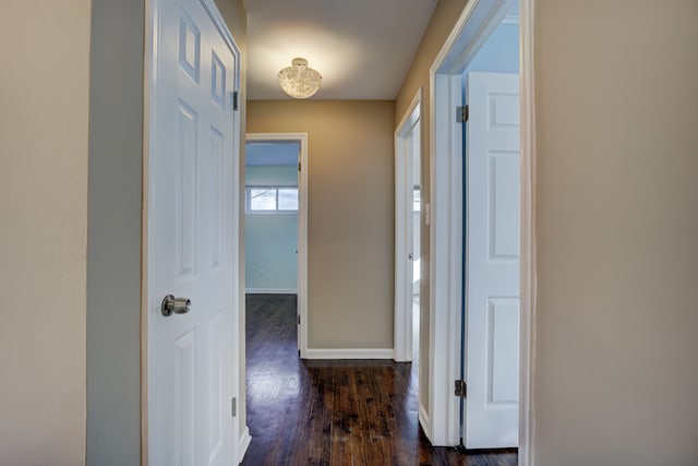 hallway featuring dark hardwood / wood-style floors