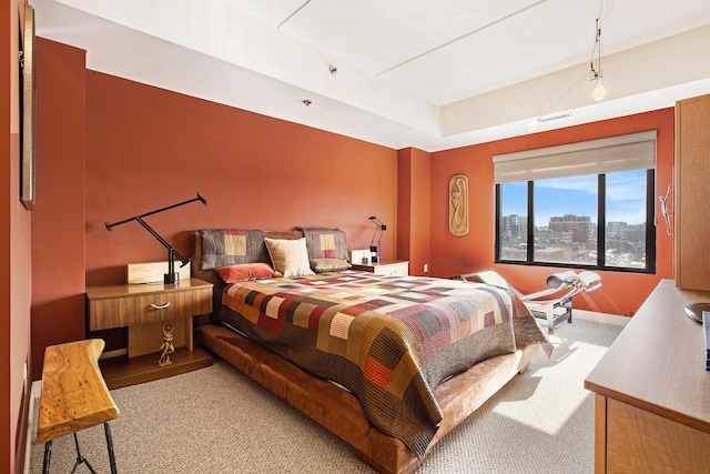 bedroom featuring a raised ceiling