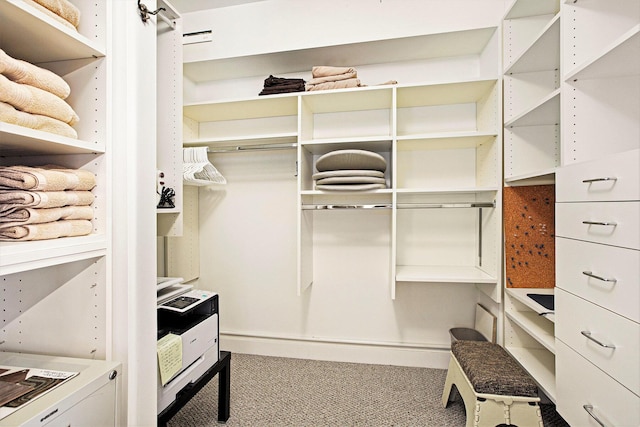 walk in closet featuring carpet