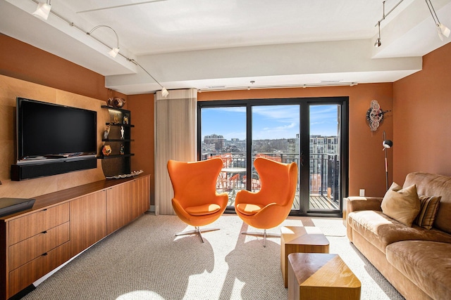 living room with rail lighting and light carpet