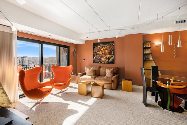 carpeted living room featuring track lighting