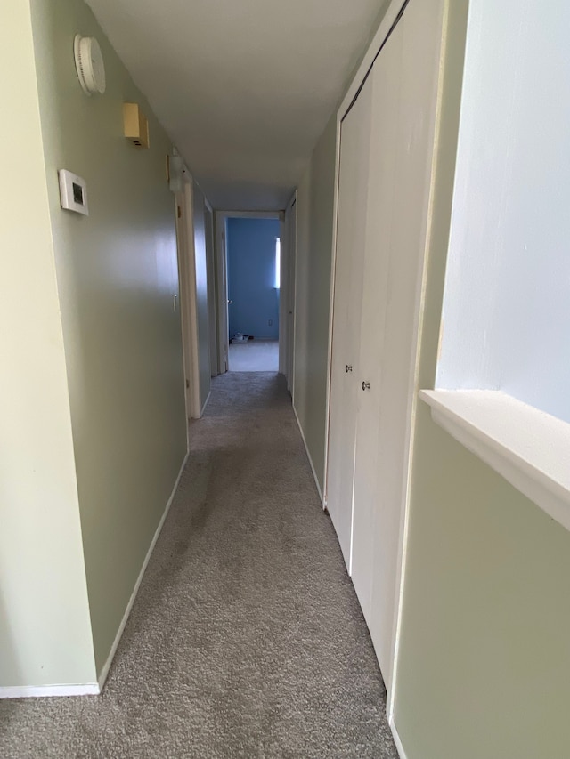 hall featuring carpet floors