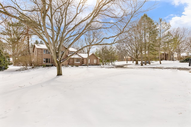 view of yard covered in snow