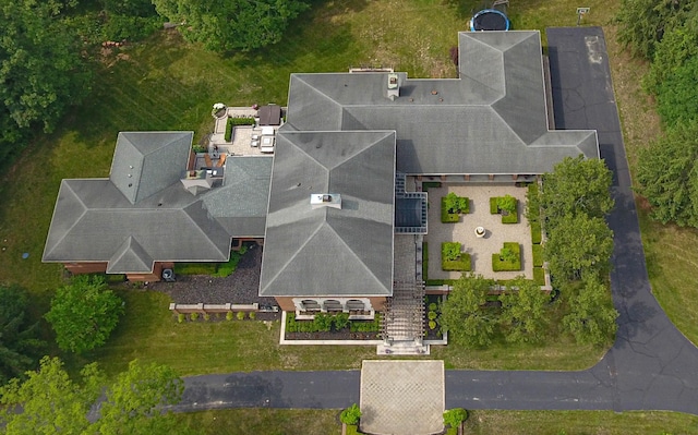 bird's eye view