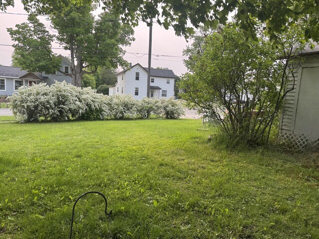 313 W 6th St, Evart, MI 49631 - view of green lawn