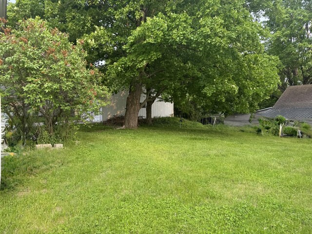 313 W 6th St, Evart, MI 49631 - view of grassy yard
