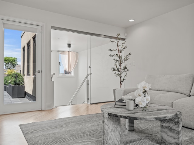 living room with plenty of natural light and wood-type flooring