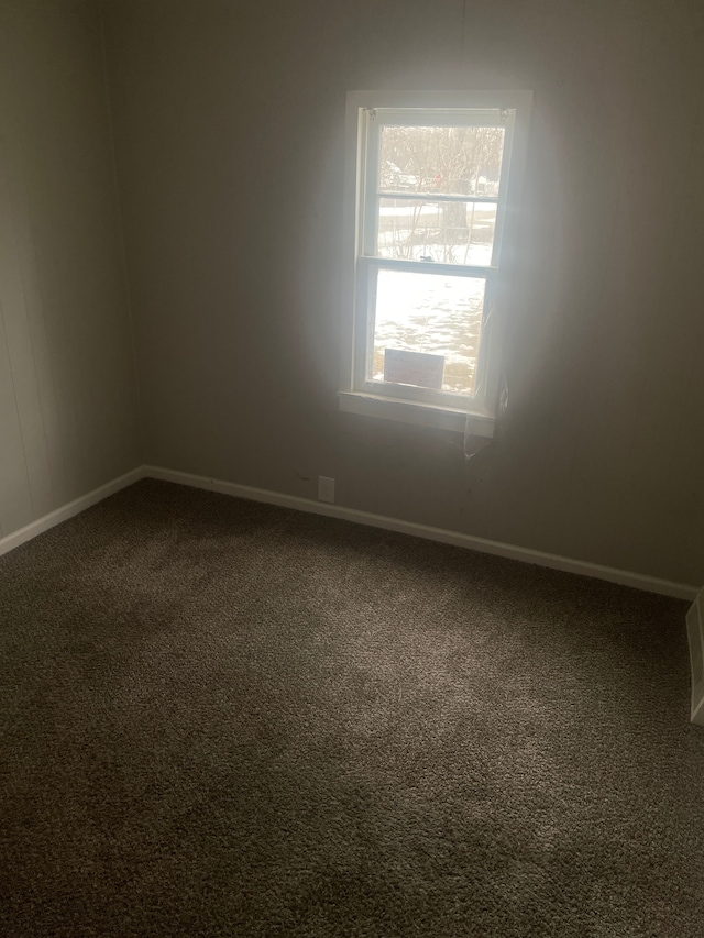 empty room featuring carpet flooring