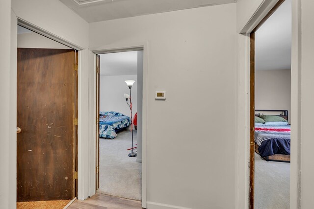 hall featuring carpet and wood finished floors