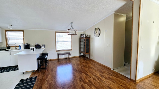 dining space featuring crown molding, dark hardwood / wood-style floors, and a wealth of natural light