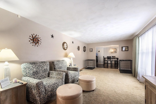 view of carpeted living room