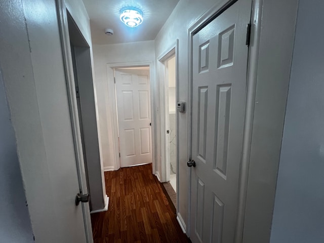 hallway featuring dark hardwood / wood-style floors