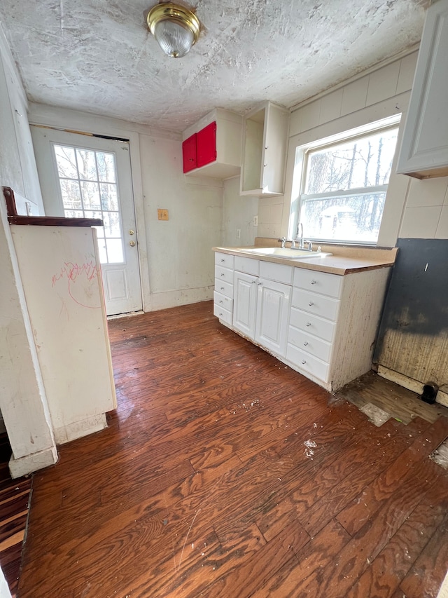 kitchen featuring plenty of natural light, sink, and dark hardwood / wood-style floors