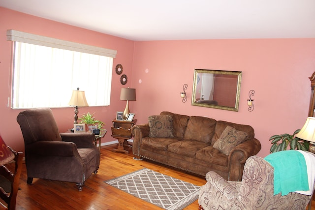 living room with hardwood / wood-style floors