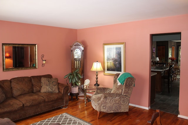 living room with wood-type flooring