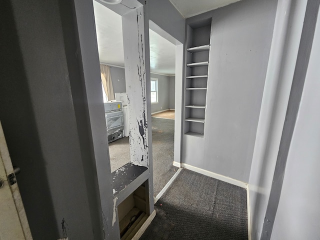 walk in closet featuring carpet