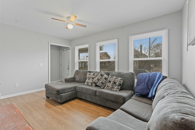 living room with ceiling fan and light wood-type flooring