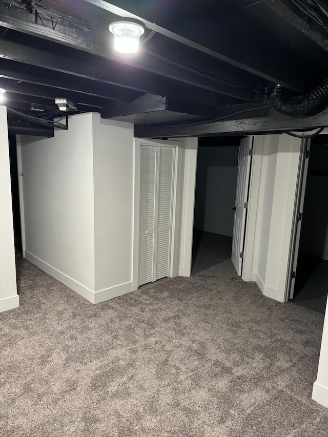 basement featuring carpet