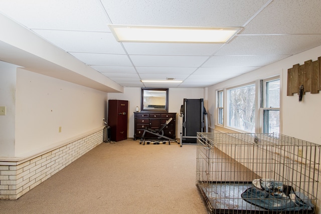 interior space with carpet and a drop ceiling