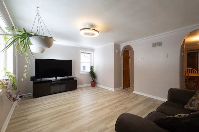 living room featuring light hardwood / wood-style flooring