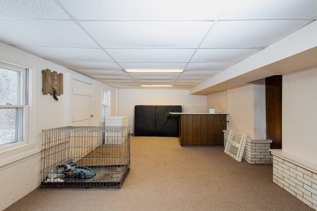 interior space featuring carpet and a drop ceiling