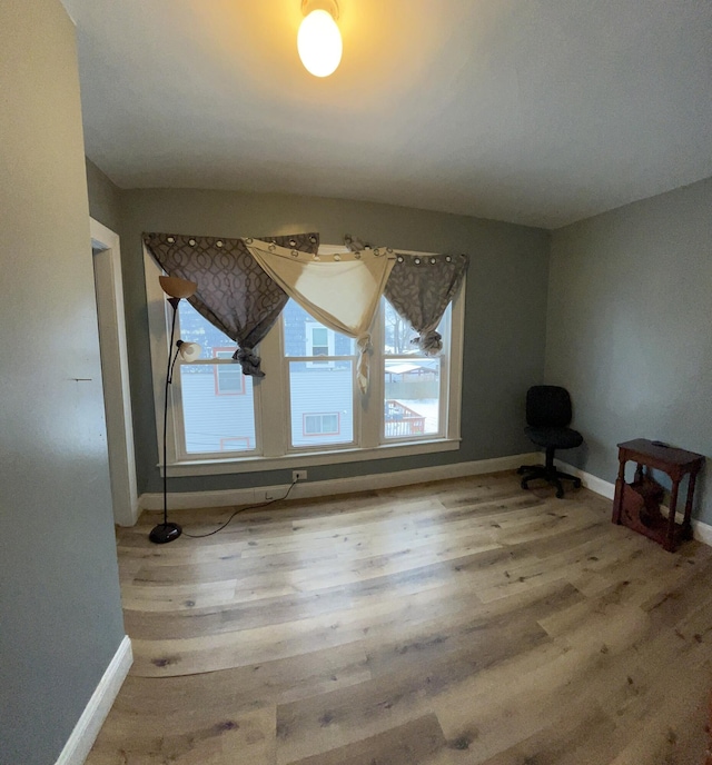 spare room with wood-type flooring