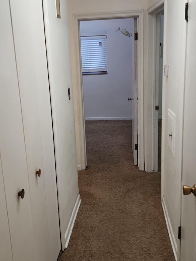 hallway featuring baseboards and carpet floors