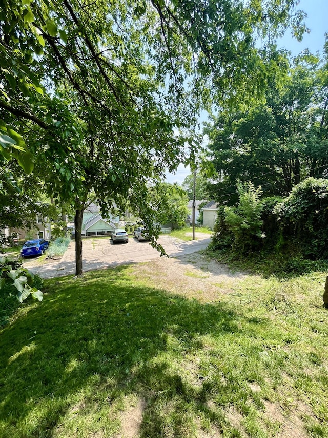 716 Coit Ave NE, Grand Rapids, MI 49503 - view of grassy yard