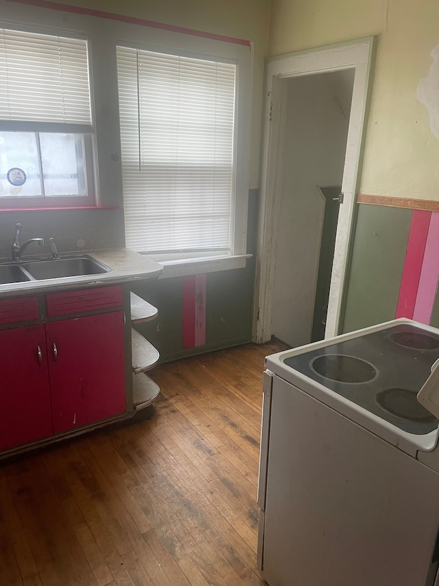 kitchen with sink, dark wood-type flooring, and white stove