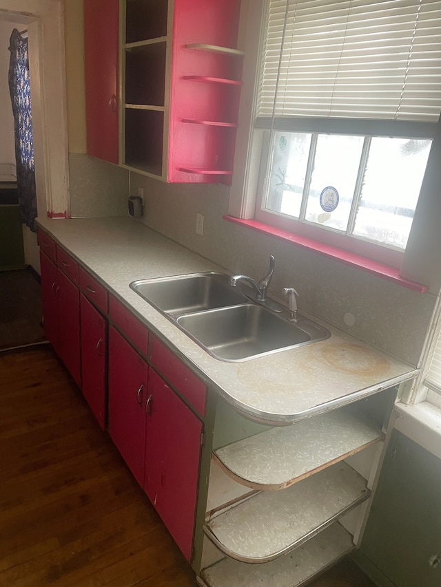 kitchen with dark hardwood / wood-style flooring and sink