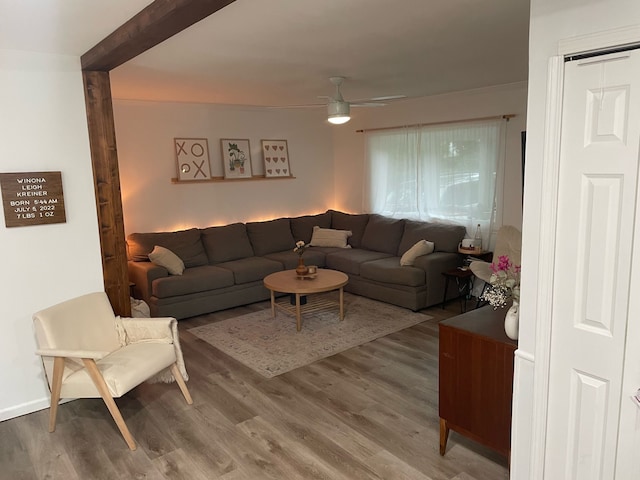 living room featuring ceiling fan and wood-type flooring