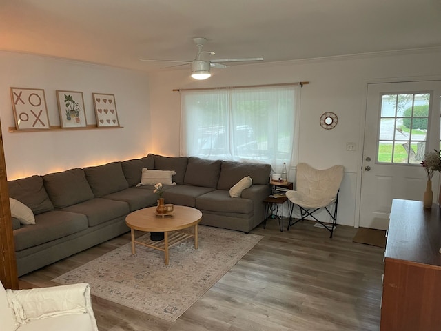 living room with wood-type flooring, ornamental molding, and ceiling fan