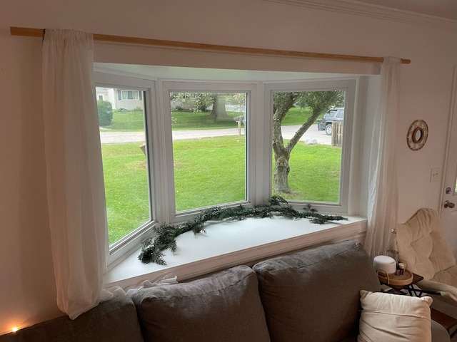 interior space featuring crown molding and a healthy amount of sunlight