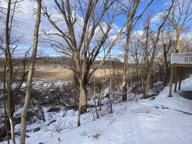 view of snowy yard