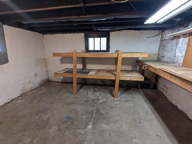 basement with a workshop area