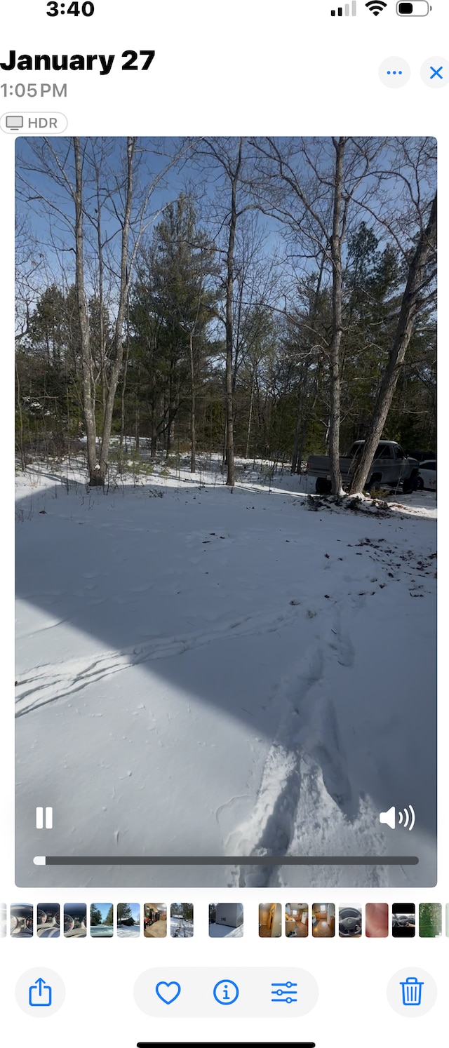 view of yard covered in snow