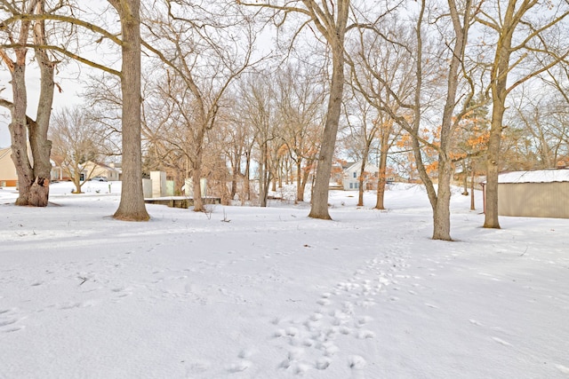 view of yard layered in snow