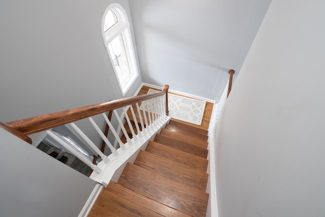 staircase with hardwood / wood-style floors