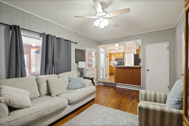 11870 Woodland Dr, Lennon, MI 48449 - living room with ornamental molding, dark wood finished floors, and ceiling fan