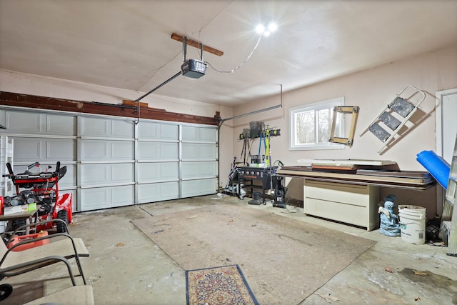 11870 Woodland Dr, Lennon, MI 48449 - garage with a garage door opener