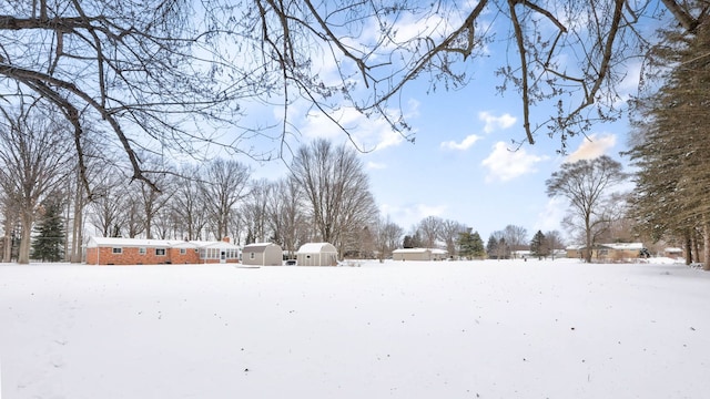 11870 Woodland Dr, Lennon, MI 48449 - view of snowy yard