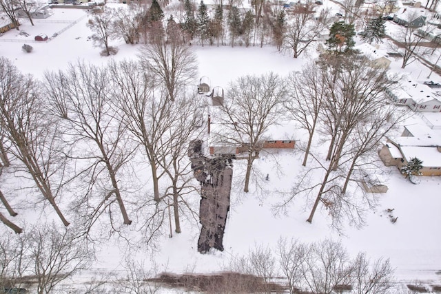 11870 Woodland Dr, Lennon, MI 48449 - view of snowy aerial view