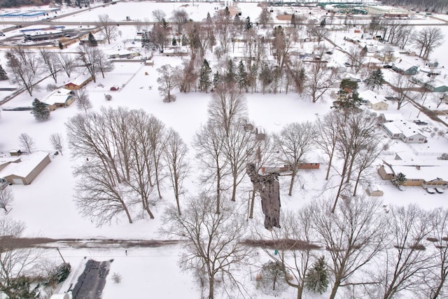 11870 Woodland Dr, Lennon, MI 48449 - view of snowy aerial view