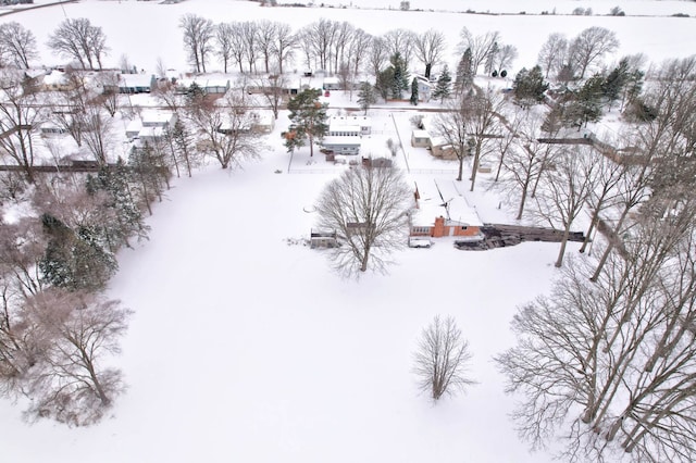 11870 Woodland Dr, Lennon, MI 48449 - view of snowy aerial view