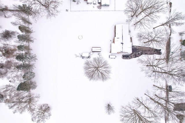 11870 Woodland Dr, Lennon, MI 48449 - view of home's exterior